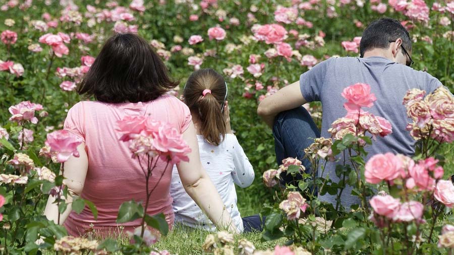 Familienzeit im Garten verbringen